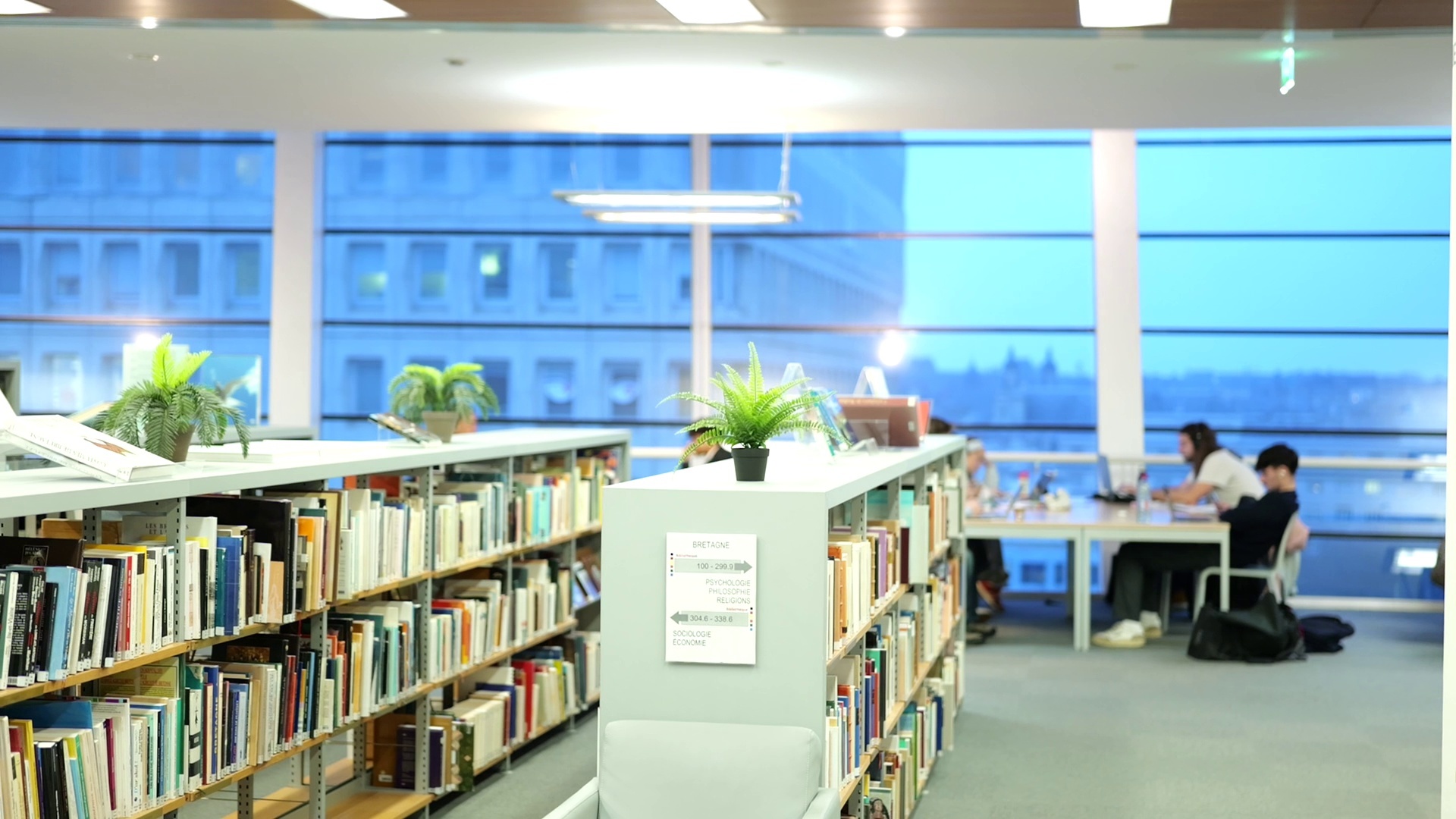 p1095325_best_frame_1